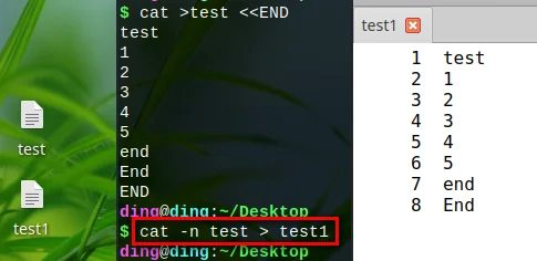 test1内容中添加行号