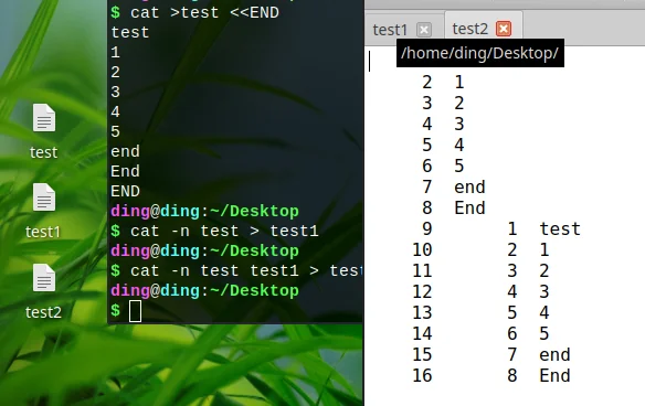 内容合并到 test2中,并添加了行号