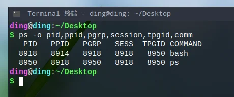 输出指定的字段