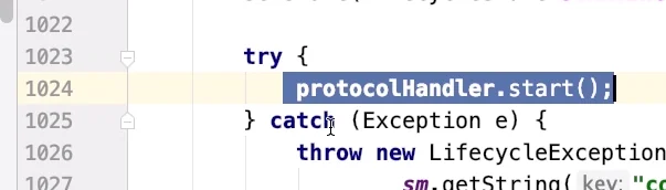 Connector.startInternal()